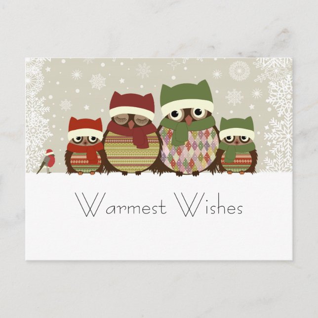 Warmest Wishes Owl Family Postcard (Front)