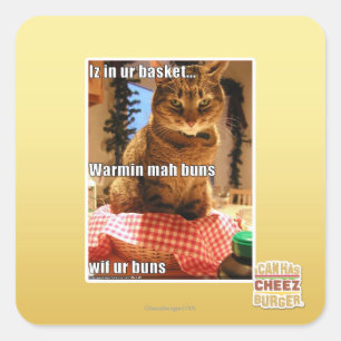 Warmin mah buns square sticker