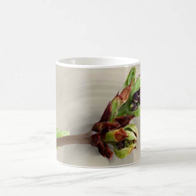 warmth of spring coffee mug (Center)