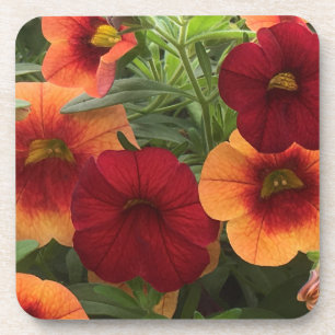 Warmth Of The Sun Floral Coaster