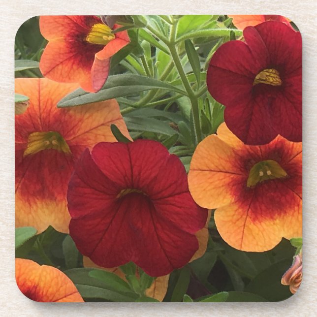 Warmth Of The Sun Floral Coaster (Front)