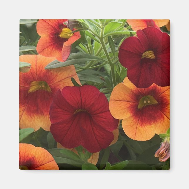 Warmth Of The Sun Floral Magnet (Front)
