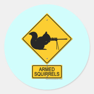 Warning Armed Squirrels Classic Round Sticker