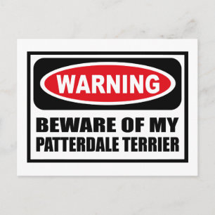 Warning BEWARE OF MY PATTERDALE TERRIER Postcard