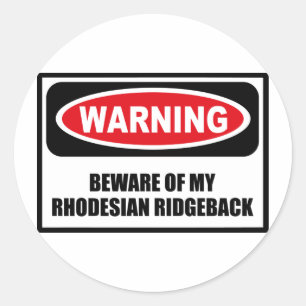 Warning BEWARE OF MY RHODESIAN RIDGEBACK Sticker