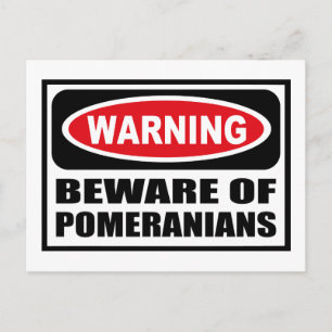 Warning BEWARE OF POMERANIANS Postcard