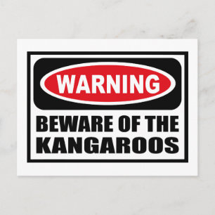 Warning BEWARE OF THE KANGAROOS Postcard
