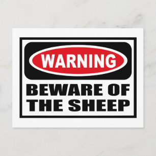 Warning BEWARE OF THE SHEEP Postcard