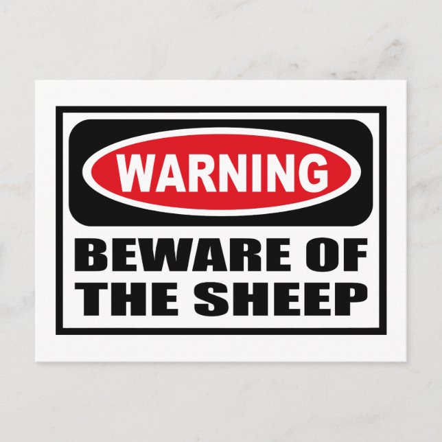 Warning BEWARE OF THE SHEEP Postcard (Front)