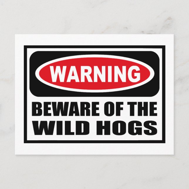 Warning BEWARE OF THE WILD HOGS Postcard (Front)