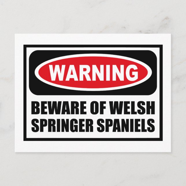 Warning BEWARE OF WELSH SPRINGER SPANIELS Postcard (Front)