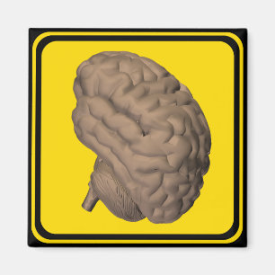 Warning: Brain Crossing! Magnet