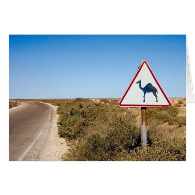 Warning Camels Ahead (Front Horizontal)