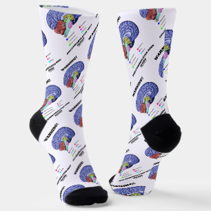 Warning! Discombobulated Mind Inside Brain Humour Socks
