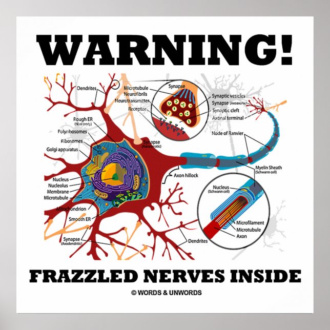 Warning! Frazzled Nerves Inside Neuron Synapse Poster (Front)