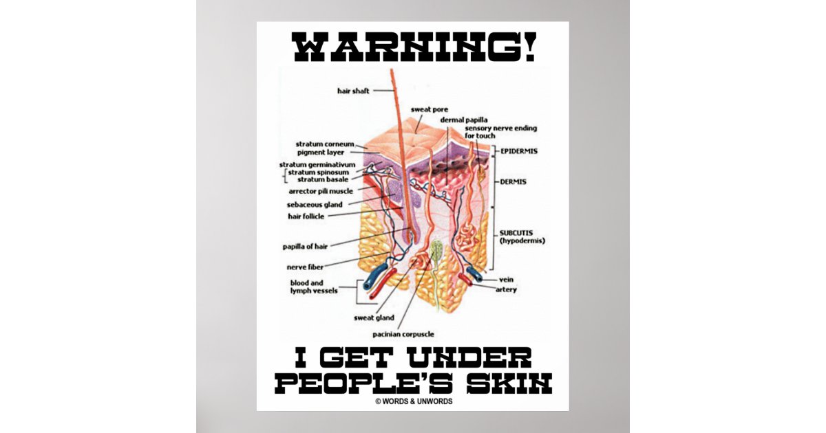 Warning I Get Under People #39 s Skin (Dermal Layers) Poster Zazzle