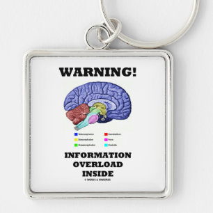 Warning! Information Overload Inside (Brain Key Ring