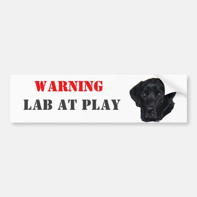 WARNING, Lab At Play Bumper Sticker (Front)