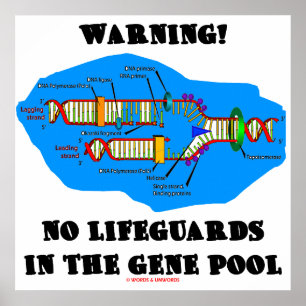 Warning! No Lifeguards In The Gene Pool Poster