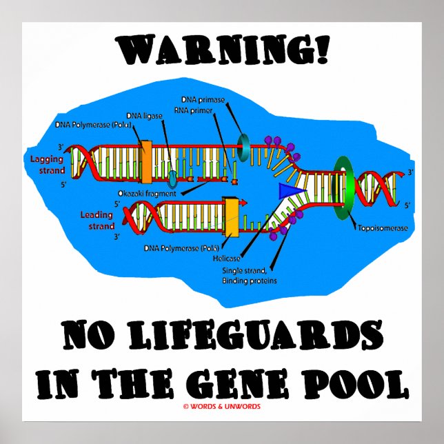 Warning! No Lifeguards In The Gene Pool Poster (Front)