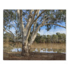 Warrego Water Ways - Outback Australia