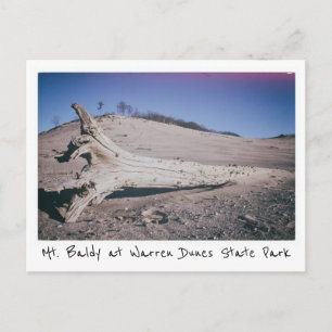 Warren Dunes State Park Mt. Baldy Michigan Postcard