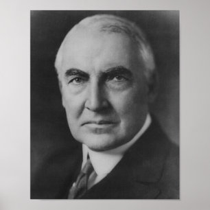 Warren G. Harding 29 Poster