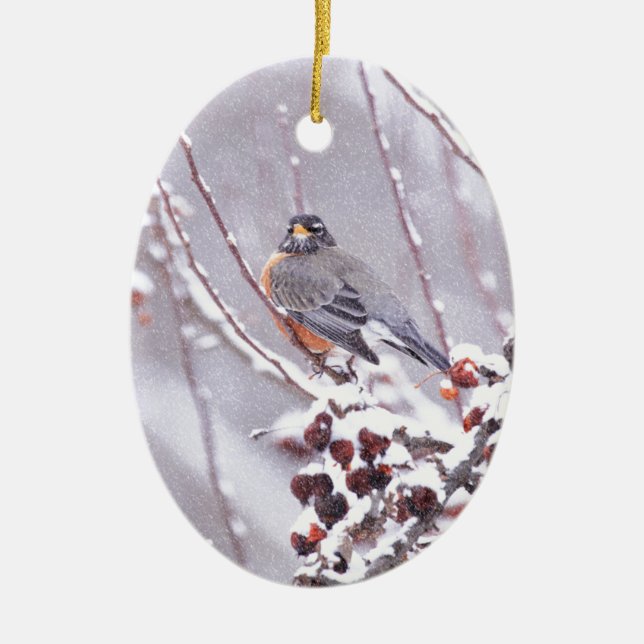 Warrior American Robin In Winter Ceramic Tree Decoration (Front)