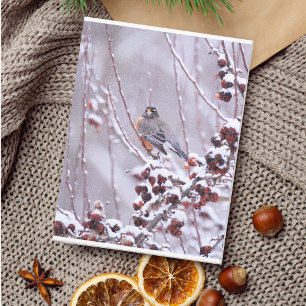 Warrior American Robin In Winter Postcard
