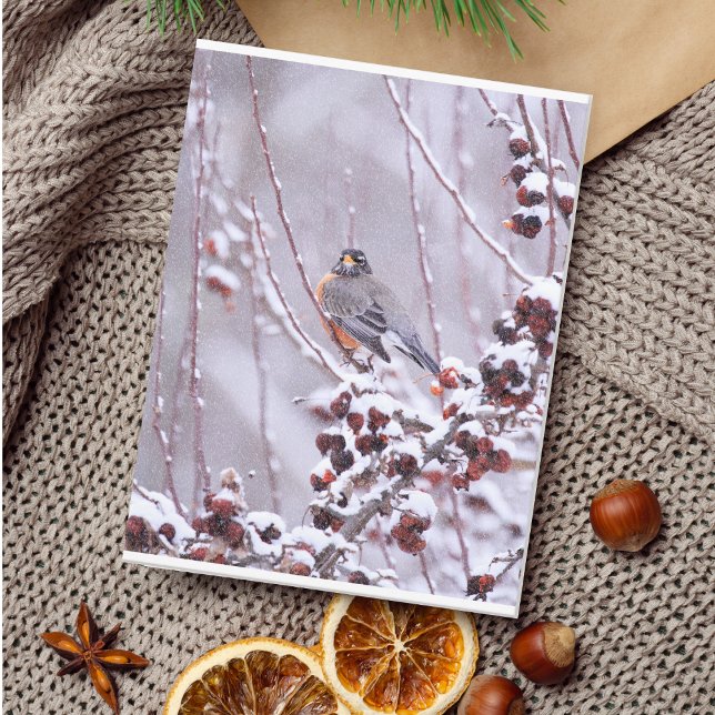 Warrior American Robin In Winter Postcard (Creator Uploaded)