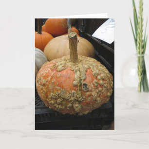 Warted Pumpkin Holiday Card