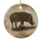 WARTHOG