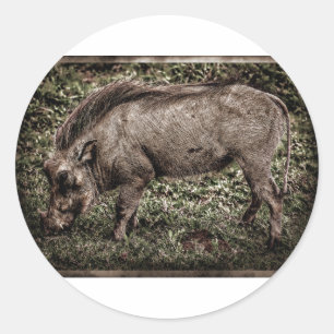 Warthog. Classic Round Sticker