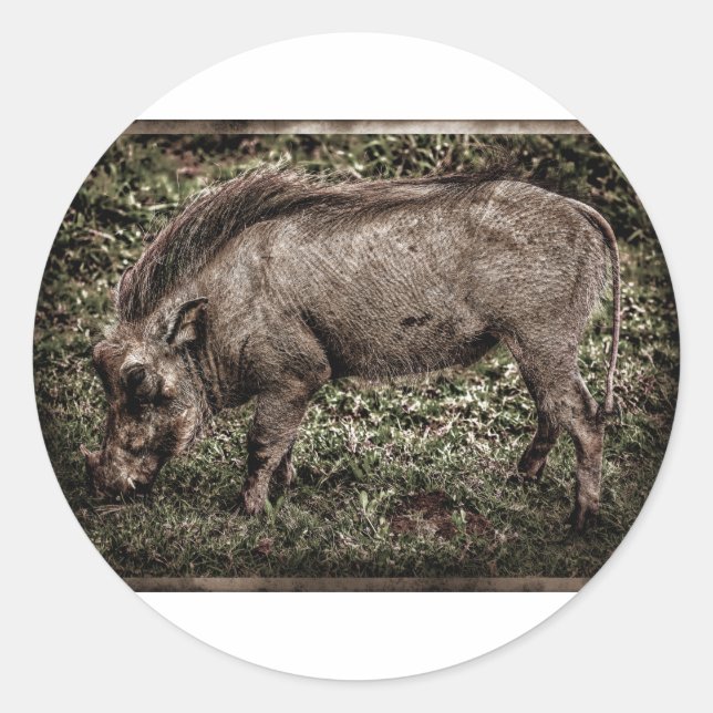 Warthog. Classic Round Sticker (Front)