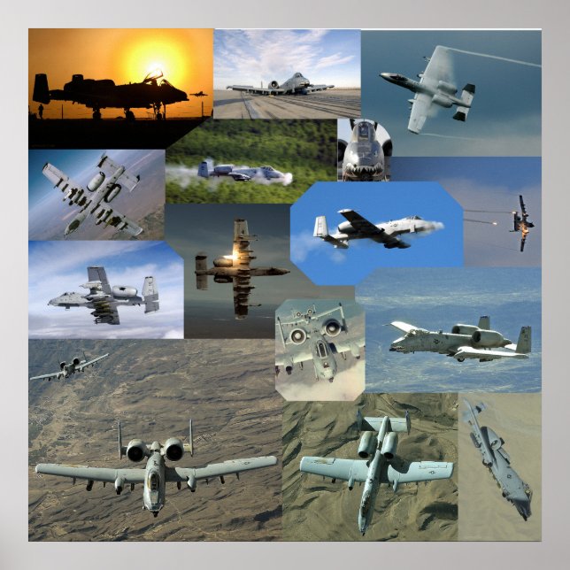 Warthog collection poster (Front)