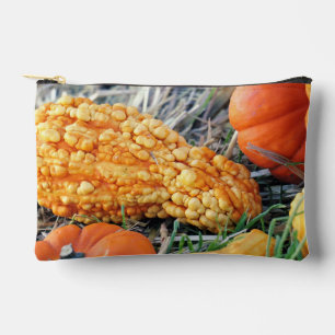 Warty Gourd Accessory Pouch