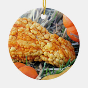 Warty Gourd Ceramic Ornament