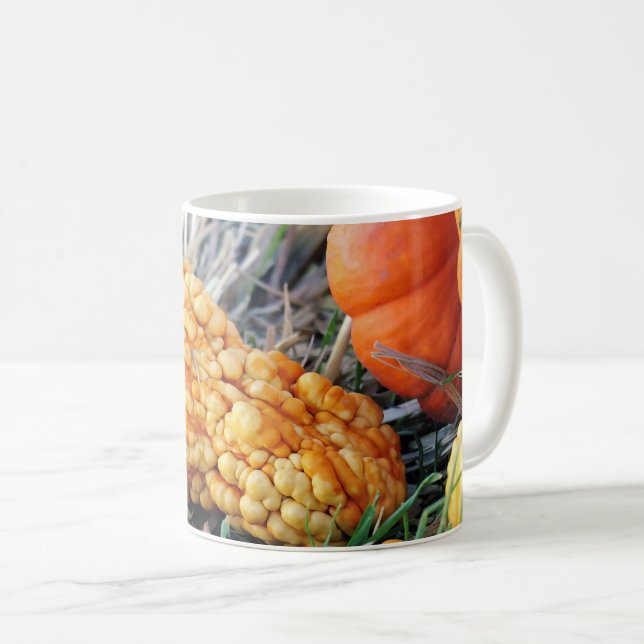 Warty Gourd  Coffee Mug (Front Right)