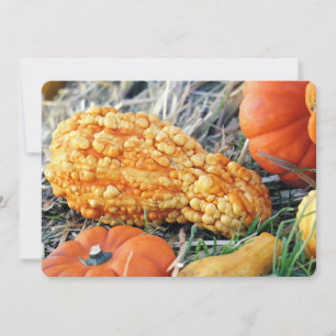 Warty Gourd  Invitation