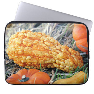 Warty Gourd Laptop Sleeve
