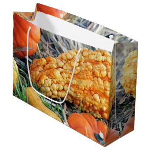 Warty Gourd  Large Gift Bag