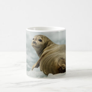 Wary Seal Coffee Mug