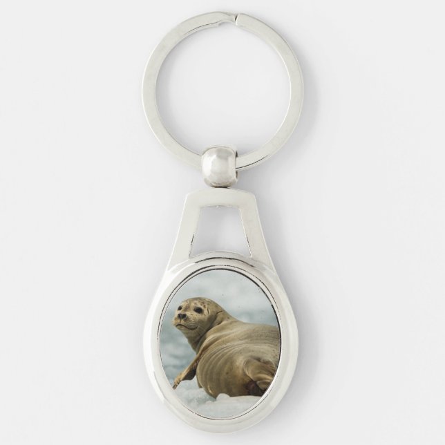 Wary Seal Key Ring (Front)