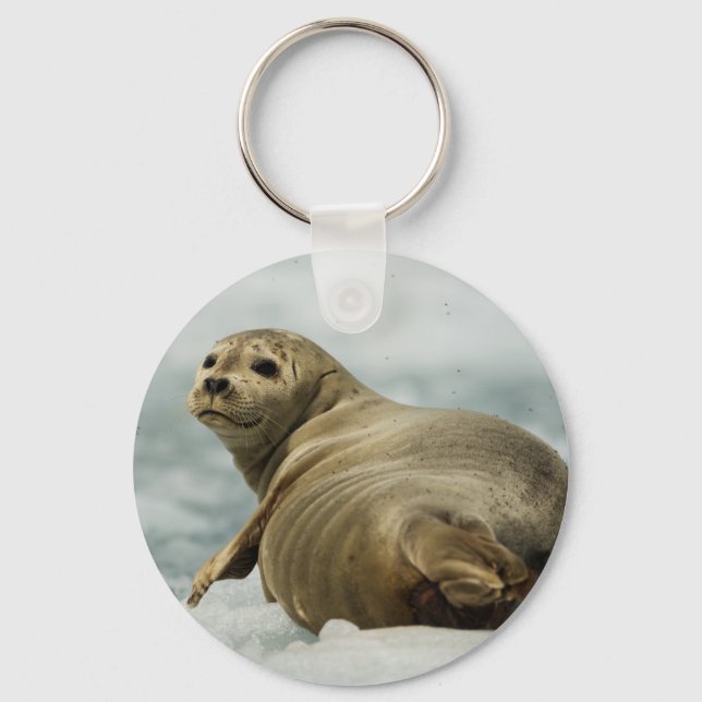 Wary Seal Key Ring (Front)