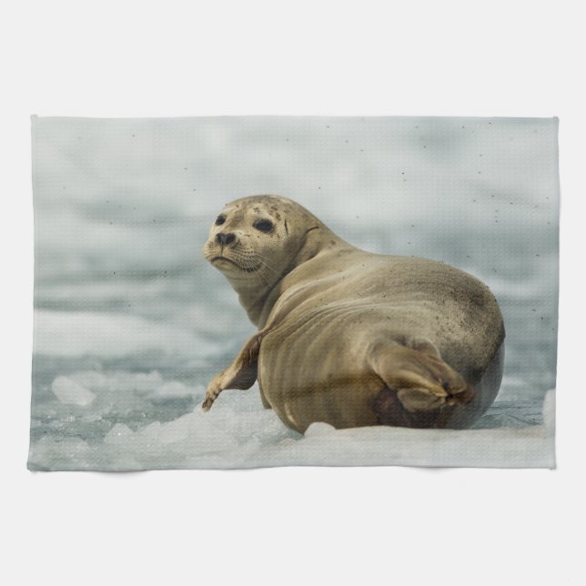 Wary Seal Tea Towel (Horizontal)