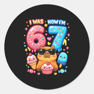 Was 6 7 birthday 67 meme capybara ice cream kawaii classic round sticker