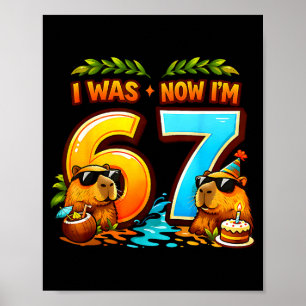 Was 6 7 birthday 67 meme capybara kids boys girls poster