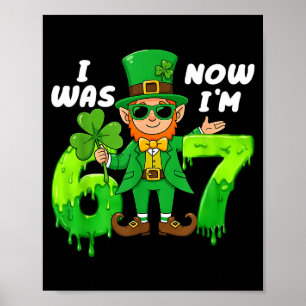 Was 6 7 leprechaun st patricks day 7th birthday bo poster