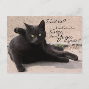 Was ist?!? Noch nie eine Katze beim Yoga gesehen? Postcard