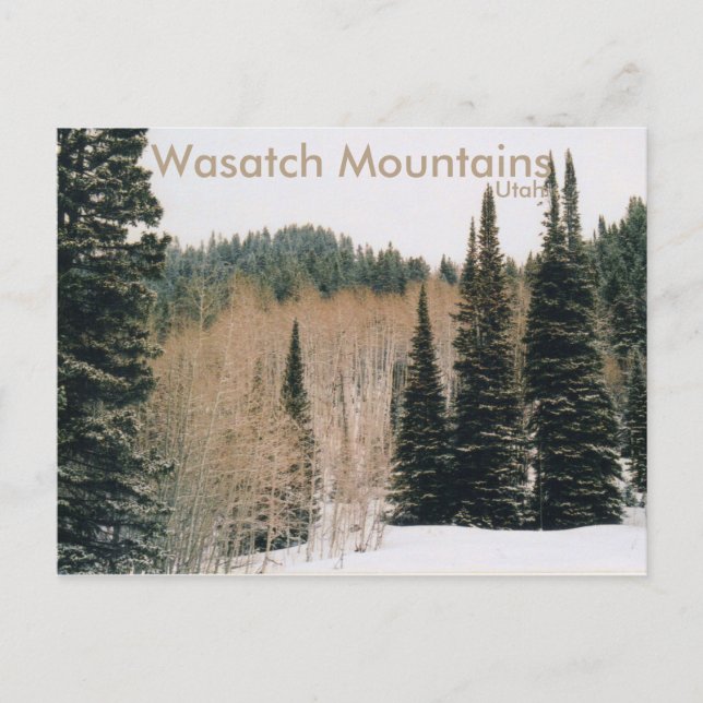 Wasatch Mountains Winter Scene Postcard (Front)